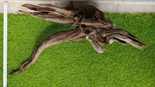 Raíz de madera para acuario