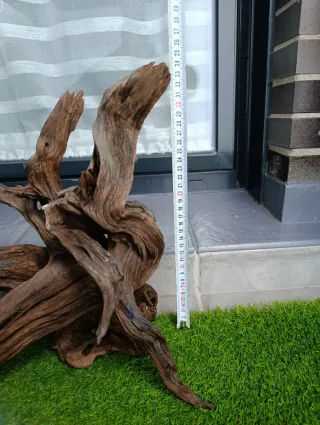 Raíz de madera para acuario