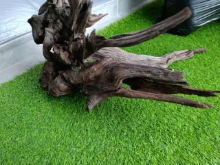 Raíz de madera para acuario