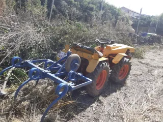 Pascual 996 + cultivador