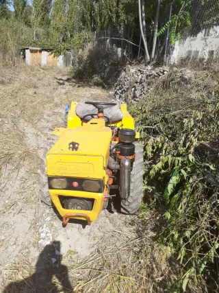 Pascual 996 + cultivador