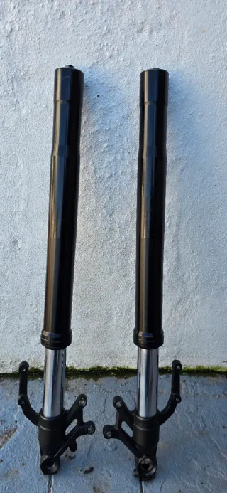 Horquillas Kawasaki Z900