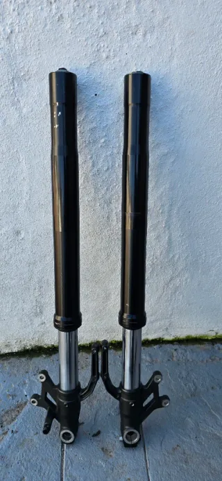 Horquillas Kawasaki Z900