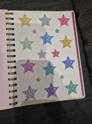 Libreta espiral flamencos Mis Momentos Favoritos