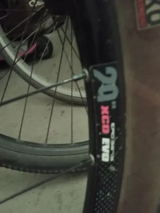 Aro Progress Evo 29 con radios.