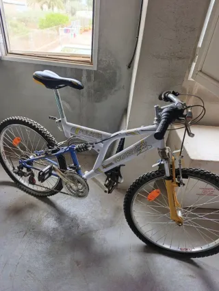 Bicicleta Polaris Montaña