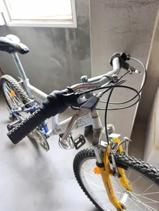 Bicicleta Polaris Montaña