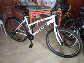 Bicicleta de montaña INDUR 18V