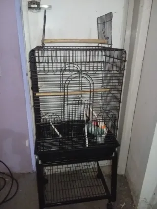 Jaula para pájaros negra