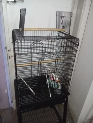 Jaula para pájaros negra