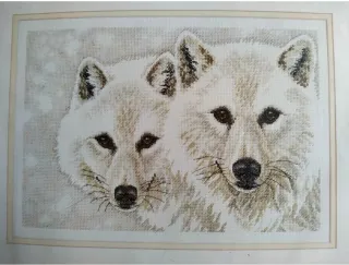 Dimensions Sunset "Arctic Pair" 35168 Nuovo 2005