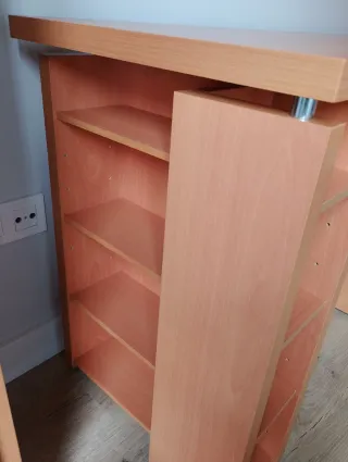 CONJUNTO ESCRITORIO Y ESTANTERÍAS