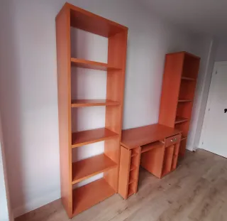 CONJUNTO ESCRITORIO Y ESTANTERÍAS