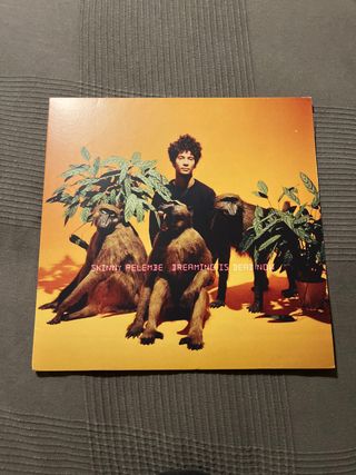 Vinilo Skinny Pelembe Dreaming Is Dead Now