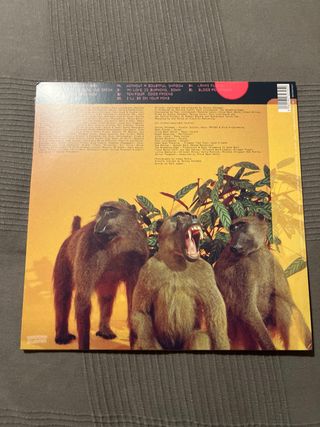 Vinilo Skinny Pelembe Dreaming Is Dead Now