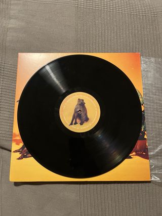 Vinilo Skinny Pelembe Dreaming Is Dead Now