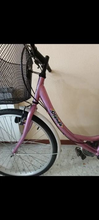 Bicicleta Mujer