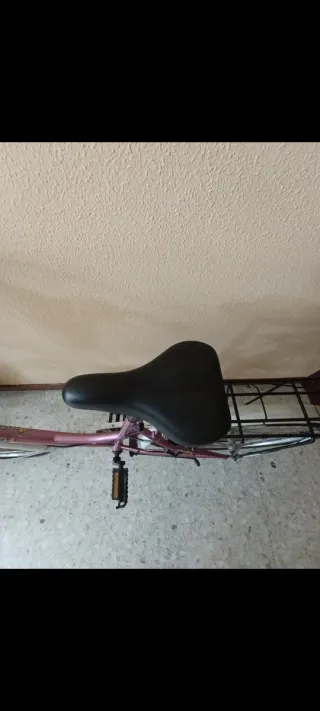 Bicicleta Mujer