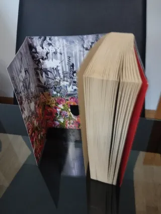 El bazar de los malos sueños-La historia de Lisey