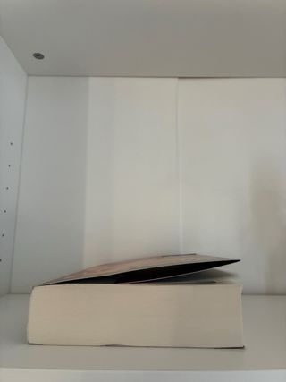 Maldita fortuna Myriam M. Lejardi libro