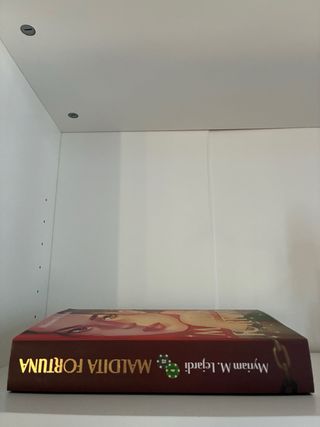 Maldita fortuna Myriam M. Lejardi libro