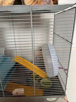 Jaula para hámster