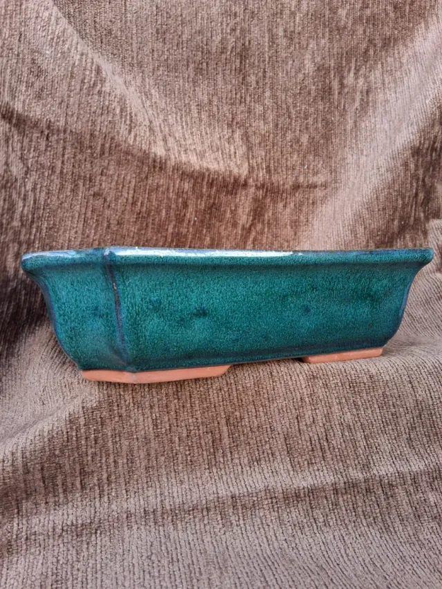 Tiesto Bonsái Cerámica