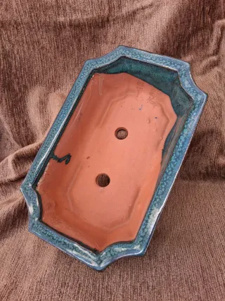 Tiesto Bonsái Cerámica