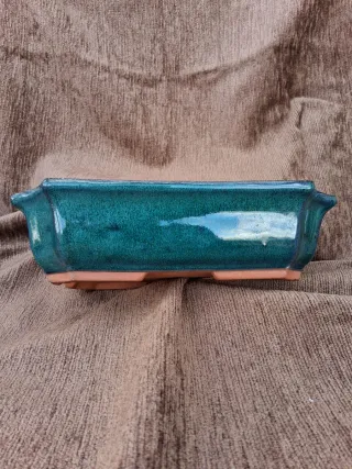 Tiesto Bonsái Cerámica