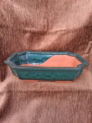 Tiesto Bonsái Cerámica