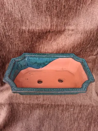 Tiesto Bonsái Cerámica