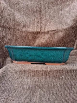 Tiesto Bonsái Cerámica