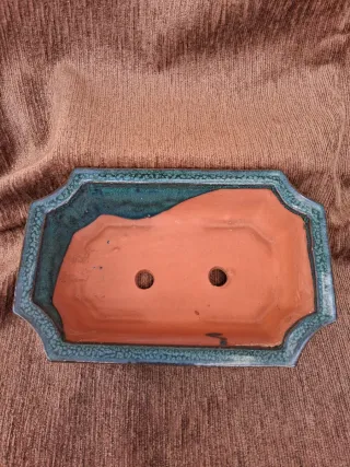 Tiesto Bonsái Cerámica