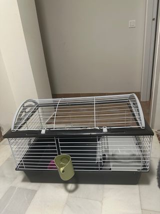 Jaula para conejo