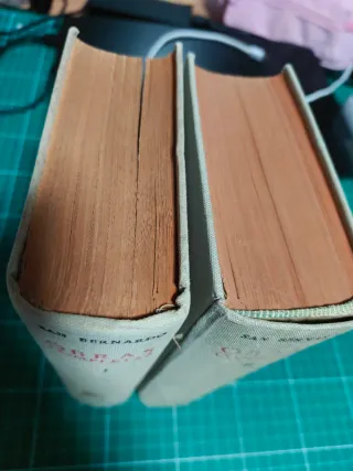 Obras Completas de San Bernardo - Tomos I y II