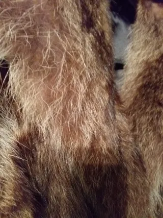 Chaquetón auténtico piel Marmota