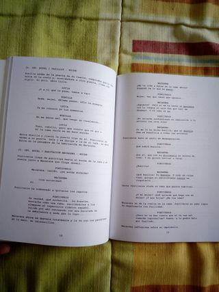 MANUAL DEL GUIONISTA. DOS GUIONES DE CINE