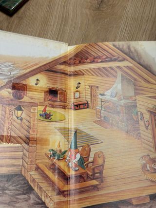 El Libro Secreto de los Gnomos Tomo 1