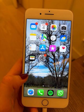 iPhone 8 Plus 64GB Rosa Metallizzato