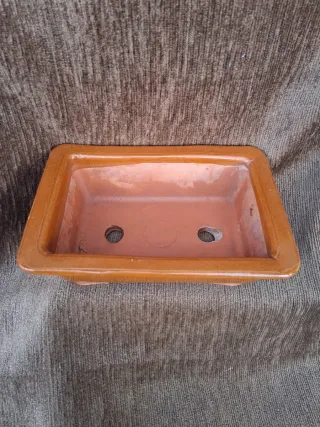 Tiesto Bonsái Cerámica Marrón Rectangular