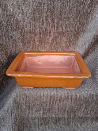 Tiesto Bonsái Cerámica Marrón Rectangular