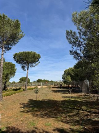 Terreno con casa en venta