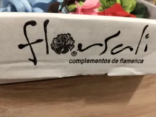 Conjunto Flamenca Rojo