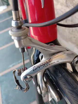 Pinarello Angliru Talla 52