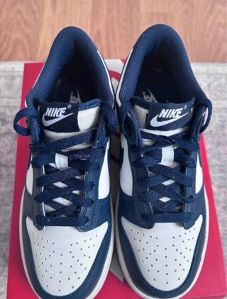 Nike Dunk Low Azul y Blanco