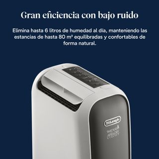 Deshumidificador DeLonghi DNS65 Zeolite
