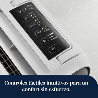 Deshumidificador DeLonghi DNS65 Zeolite