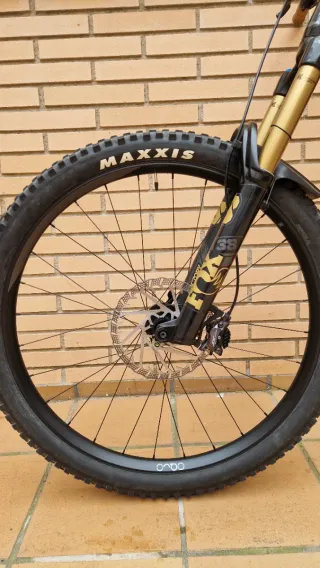 Orbea Wild 2025