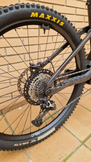 Orbea Wild 2025