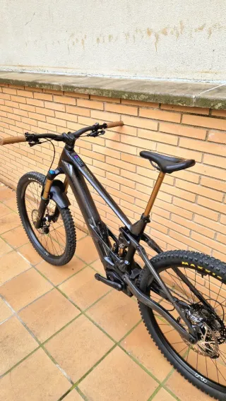 Orbea Wild 2025